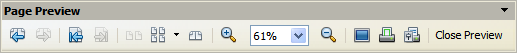 Page Preview toolbar