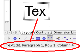 Text input in a dynamic text frame