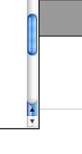 Native scrollbar top button.jpg
