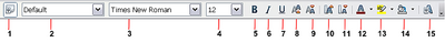 Figure 51 : Formatting toolbar, showing icons for character formatting