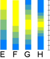 Colorblending5steps.png